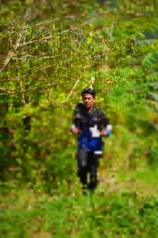 Photo ID 5175738