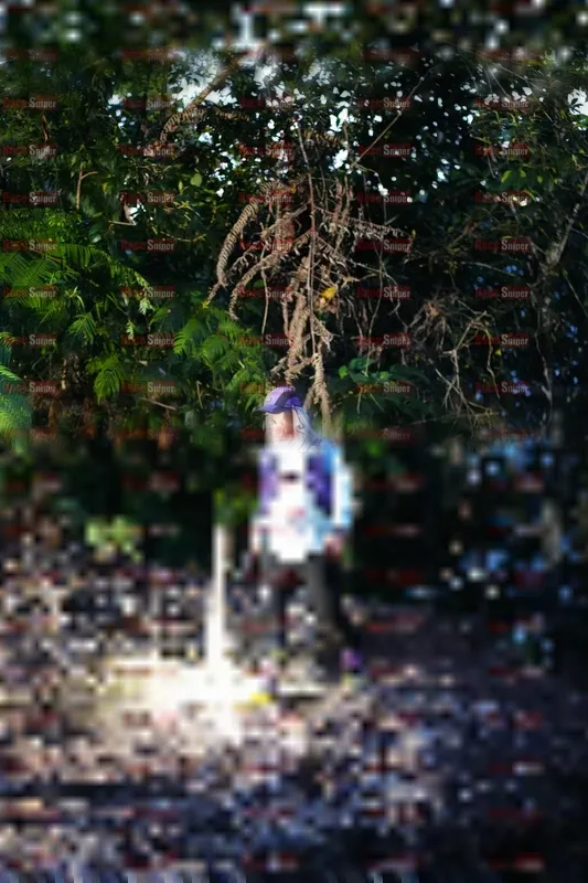 Photo ID 5180176