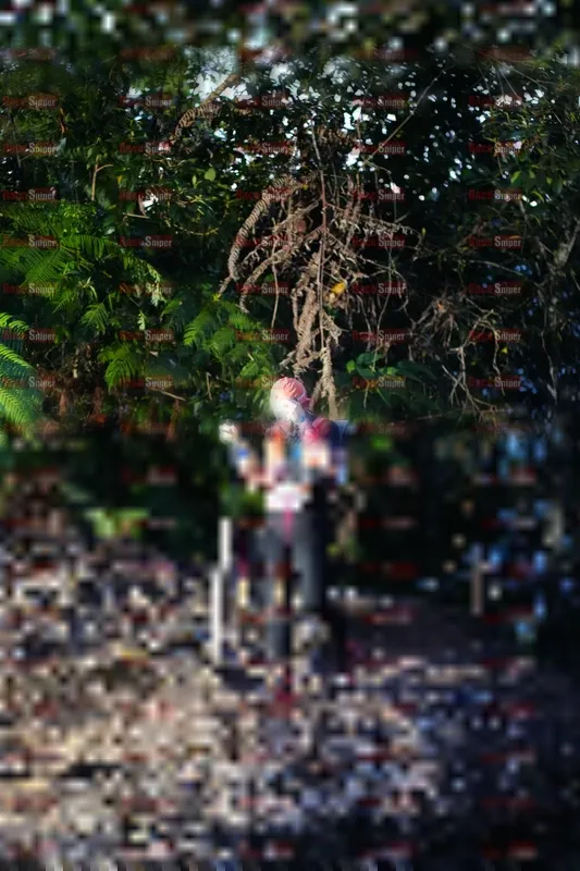 Photo ID 5180183
