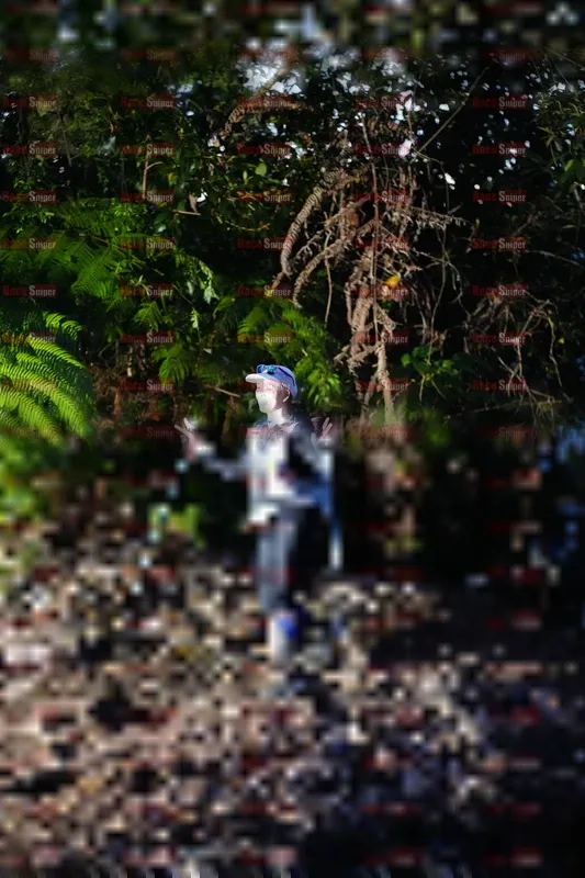 Photo ID 5180193