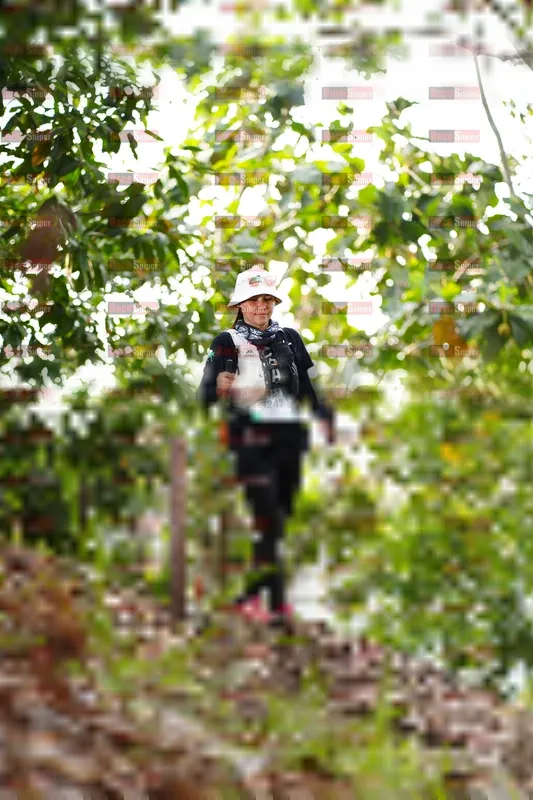 Photo ID 5181024