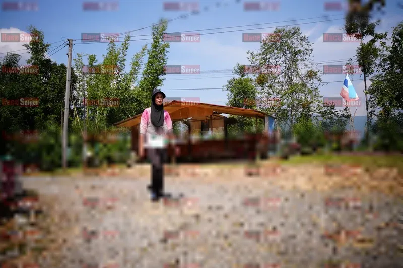 Photo ID 5181542