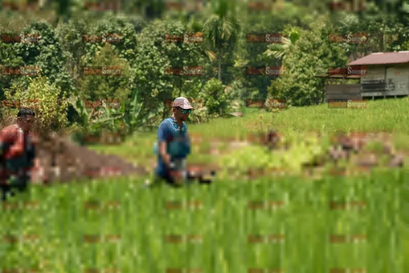 Photo ID 5191642