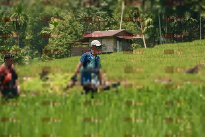 Photo ID 5191653