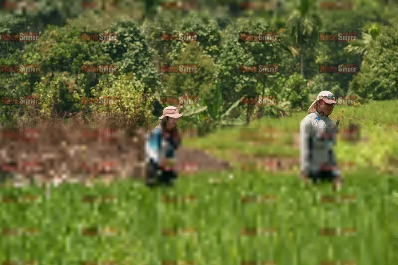 Photo ID 5192720