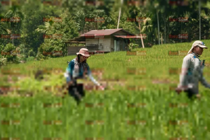 Photo ID 5192920