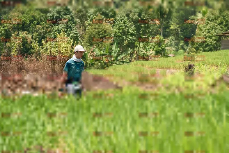 Photo ID 5193497