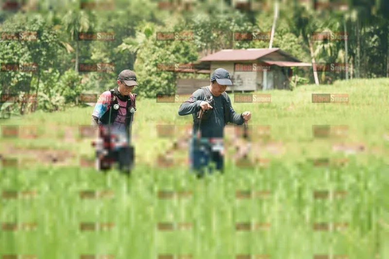 Photo ID 5195675