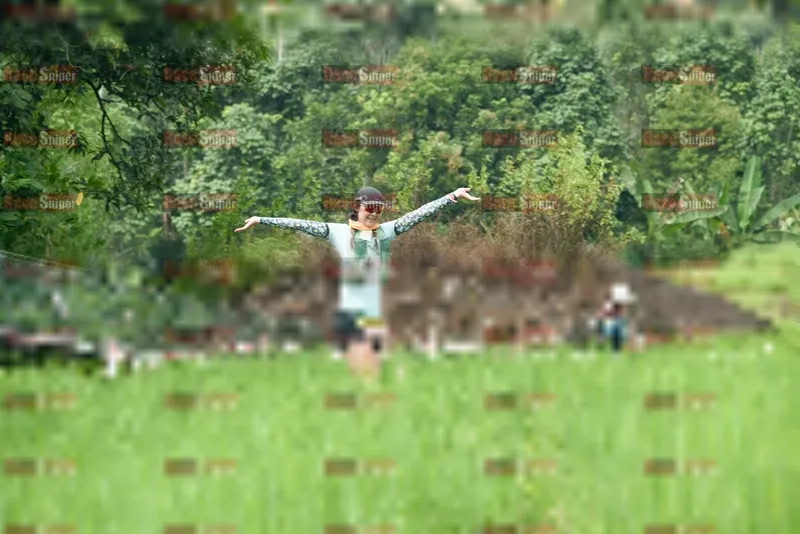Photo ID 5196942