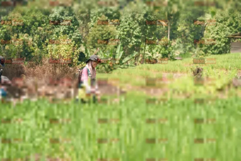 Photo ID 5197669