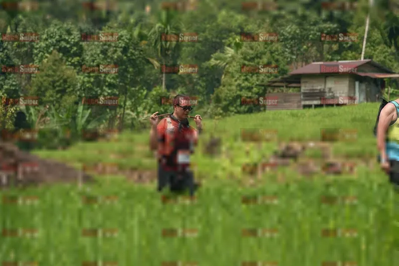 Photo ID 5198023
