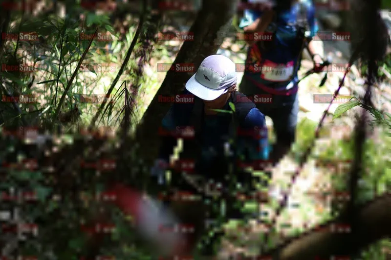 Photo ID 5203032