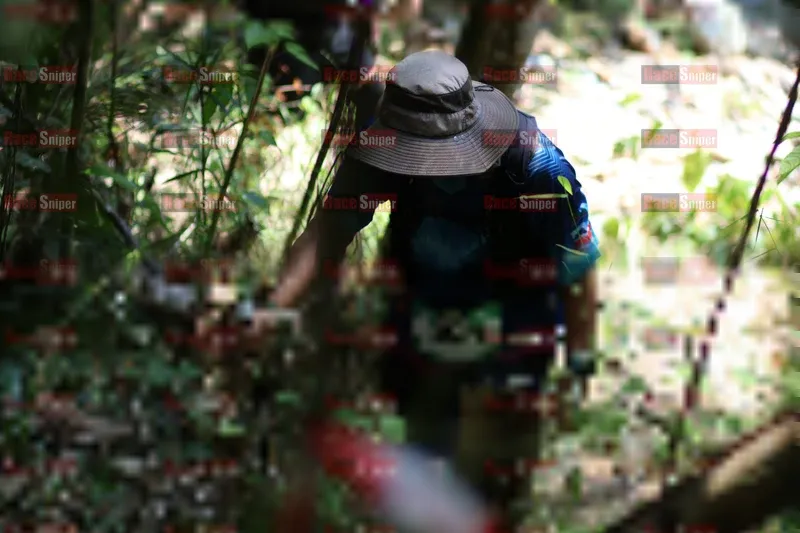 Photo ID 5204614
