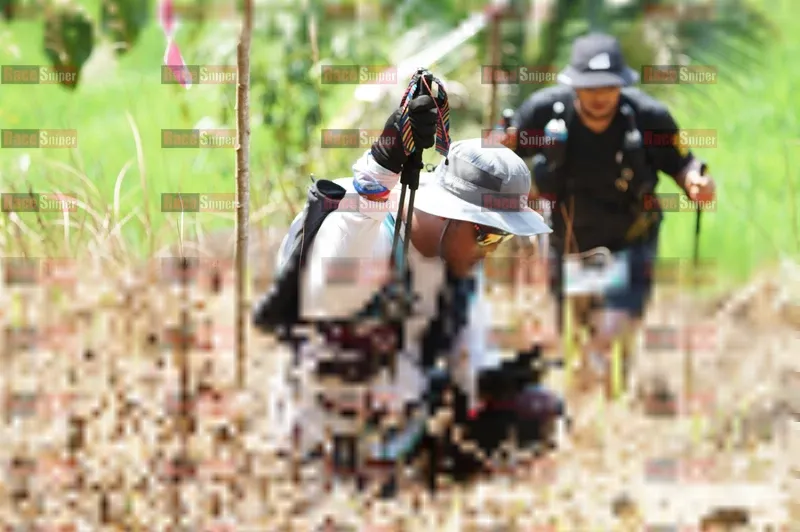 Photo ID 5208096