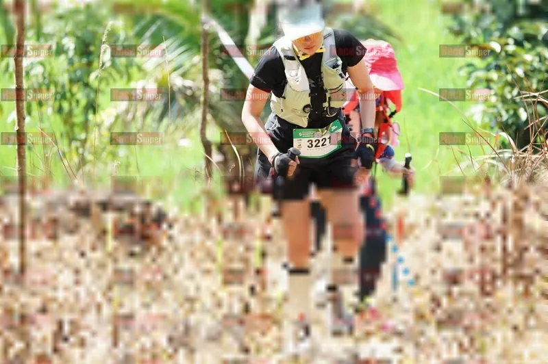 Photo ID 5208115