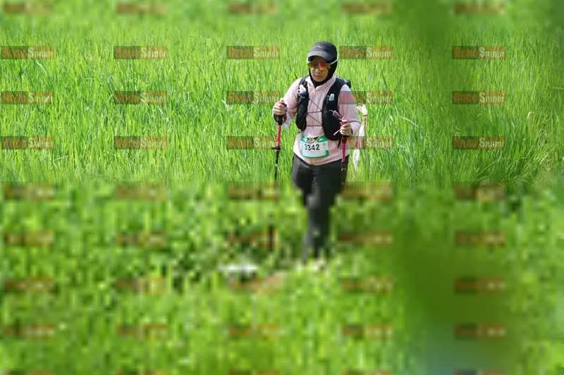 Photo ID 5208134