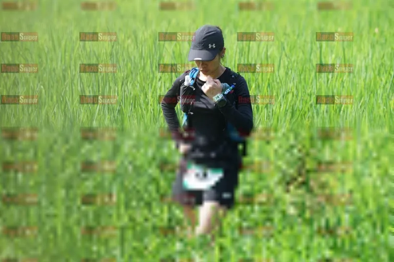 Photo ID 5208246