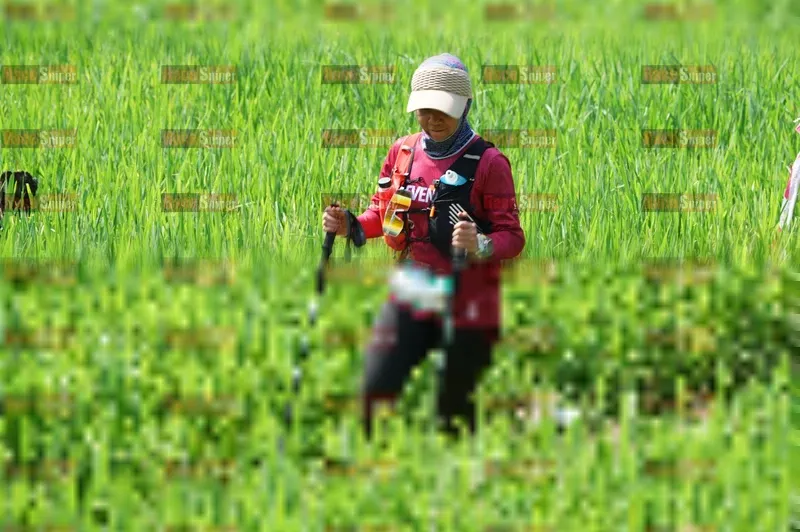 Photo ID 5208266