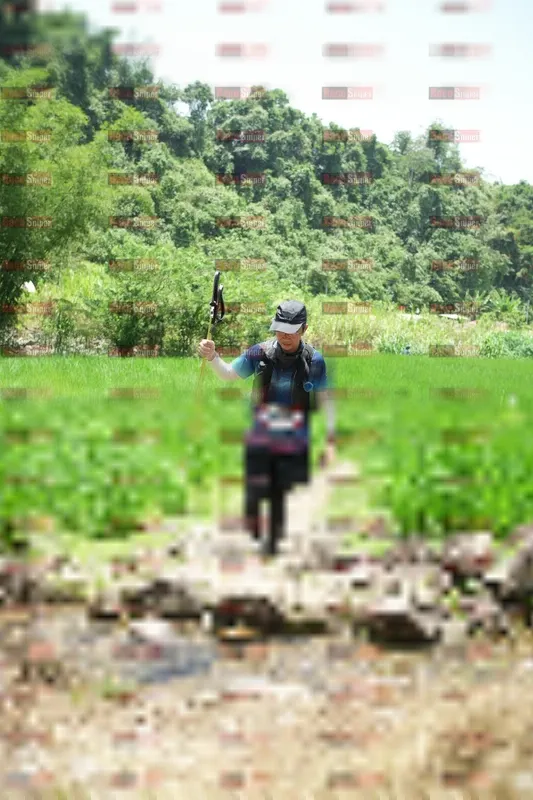 Photo ID 5210139
