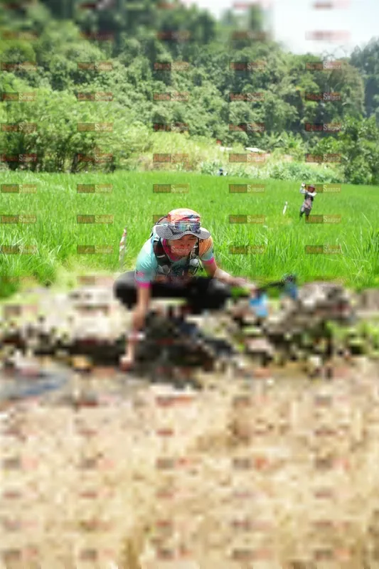 Photo ID 5210225