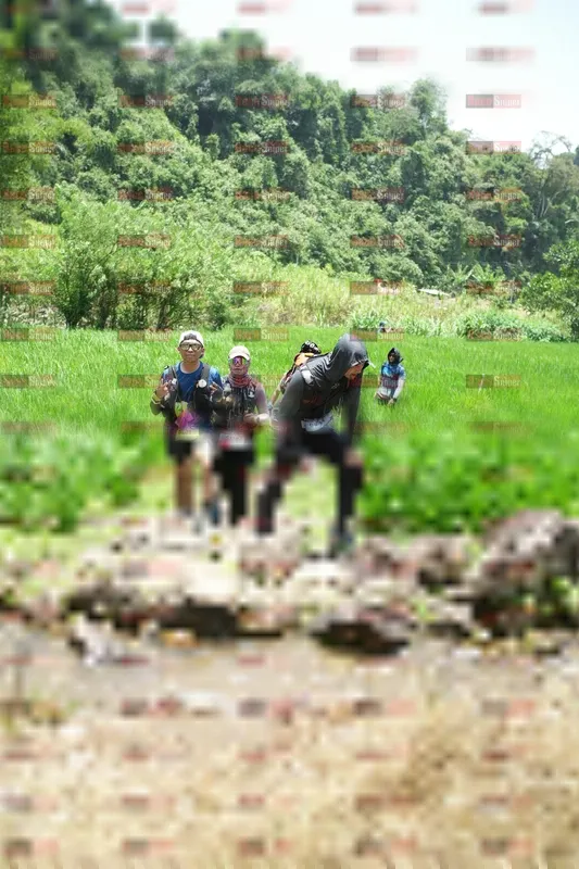 Photo ID 5210255