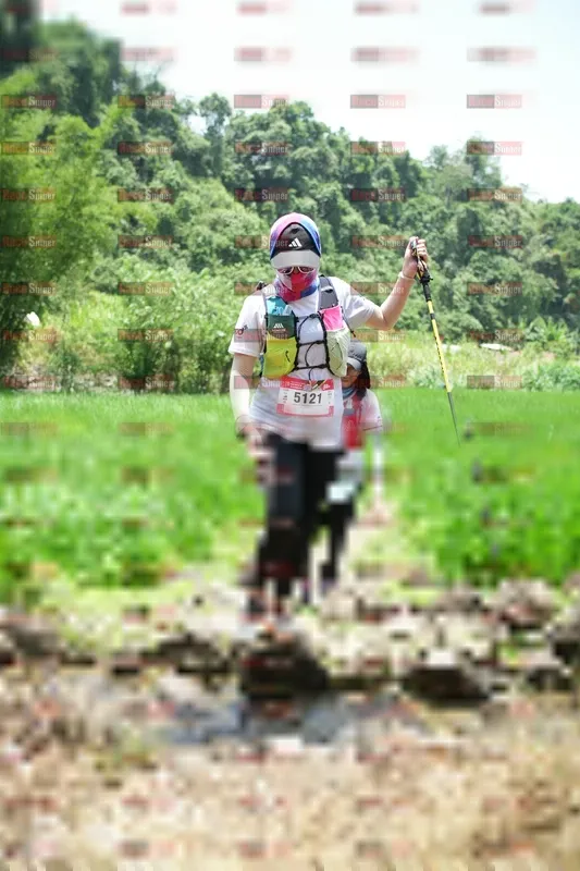 Photo ID 5210341