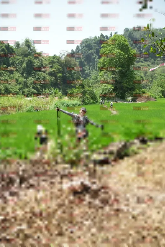 Photo ID 5211049