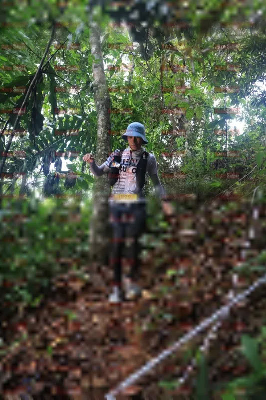 Photo ID 5212207