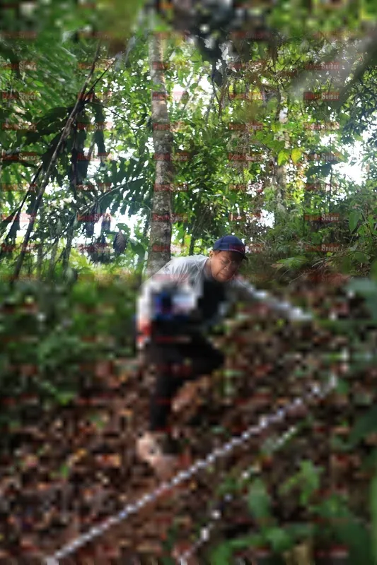 Photo ID 5212943
