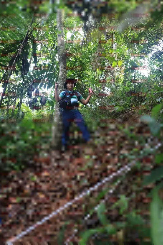 Photo ID 5213054