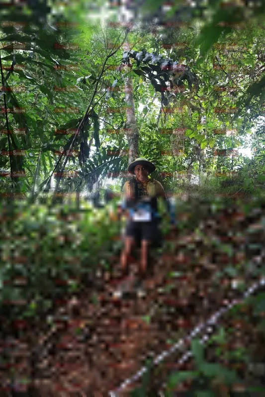 Photo ID 5220119