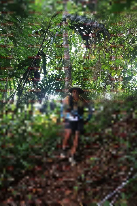 Photo ID 5220129
