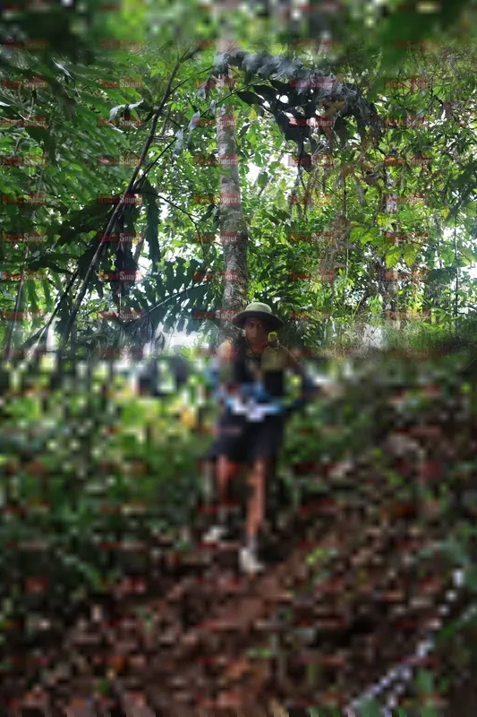 Photo ID 5220131