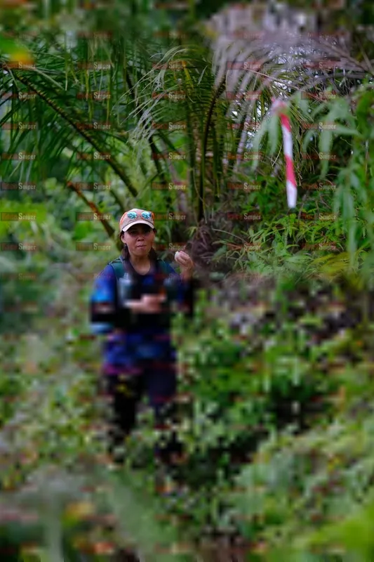 Photo ID 5220514