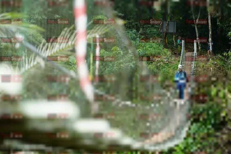 Photo ID 5220746