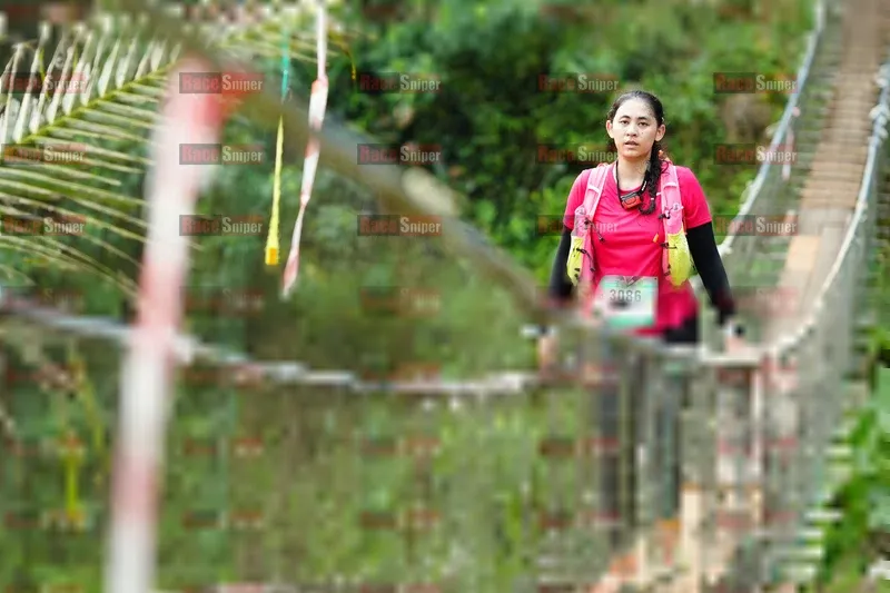 Photo ID 5221164