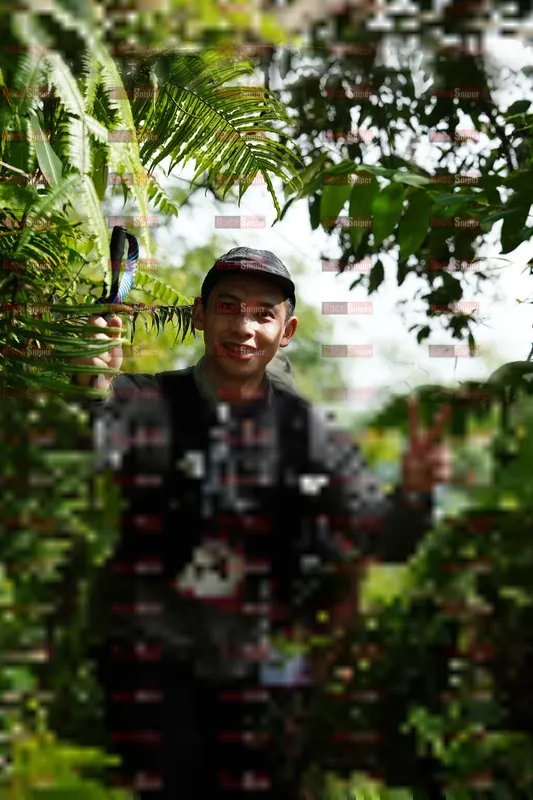 Photo ID 5229624