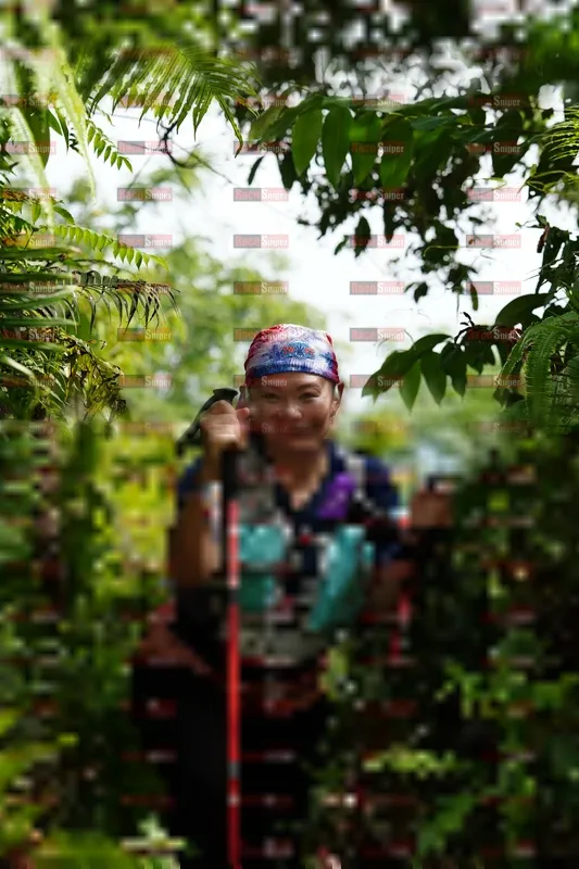 Photo ID 5229970