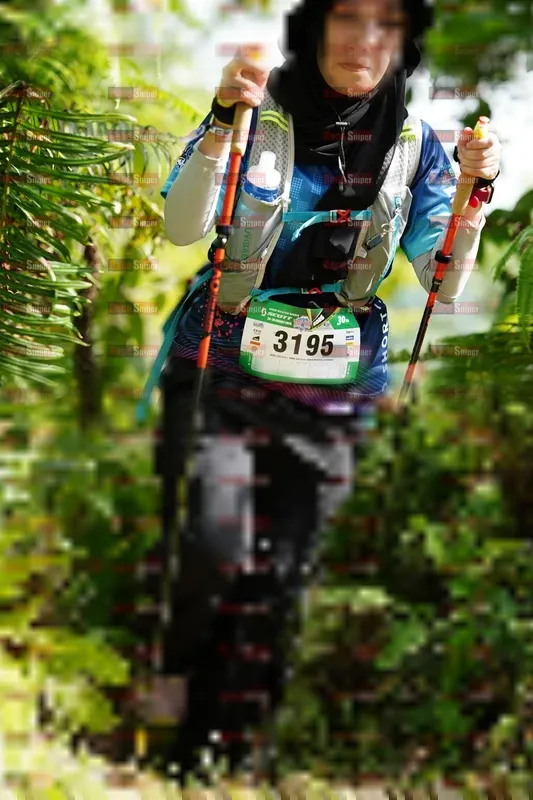 Photo ID 5230316