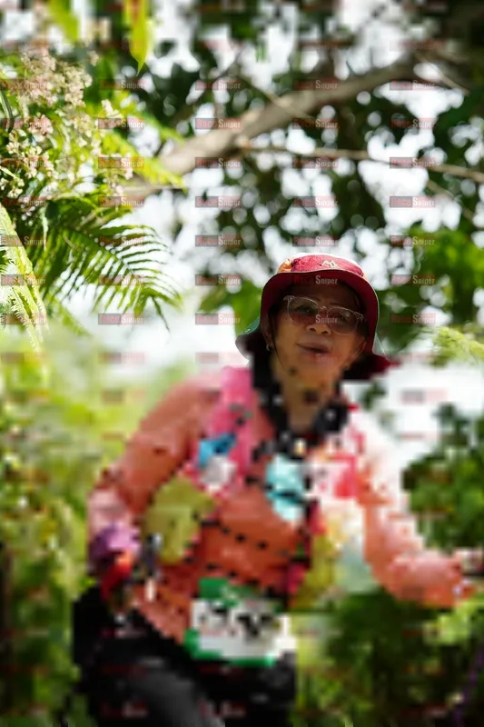 Photo ID 5231056