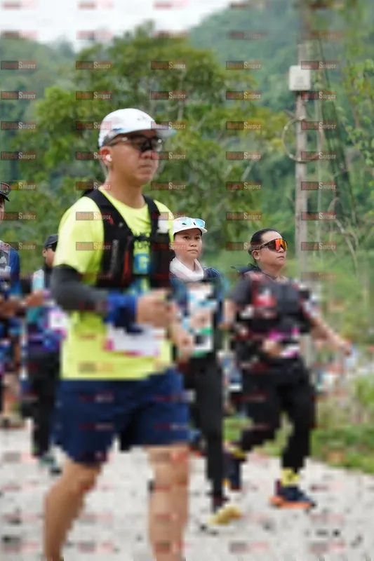 Photo ID 5242300