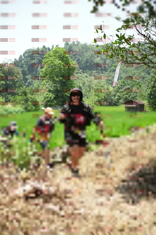 Photo ID 5248568