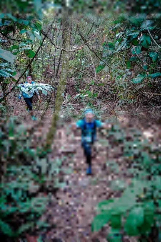 Photo ID 5249362