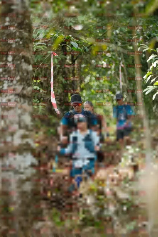 Photo ID 5262953