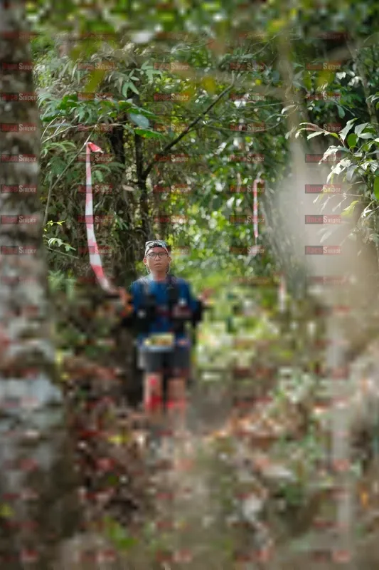 Photo ID 5268349