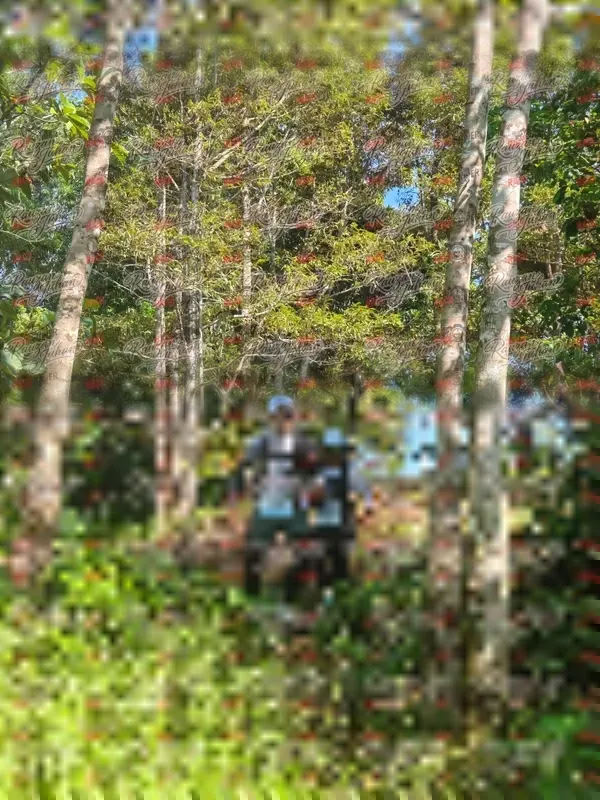 Photo ID 5277