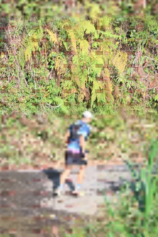 Photo ID 5290538