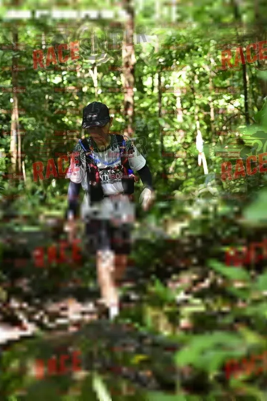 Photo ID 530627