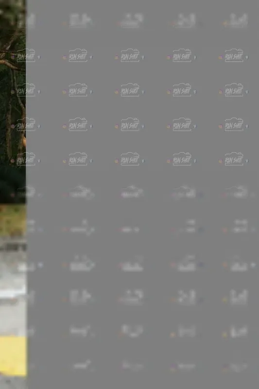 Photo ID 5441565