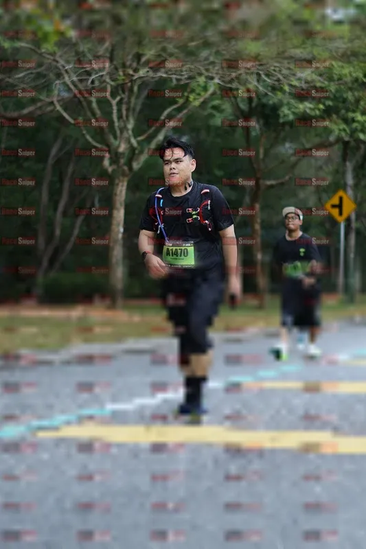 Photo ID 5455812